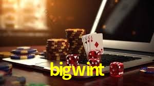 bigwint Logo 2