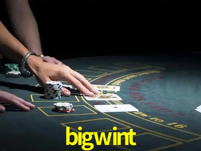 bigwint Segurança Logo 3